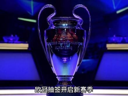 体表现分析